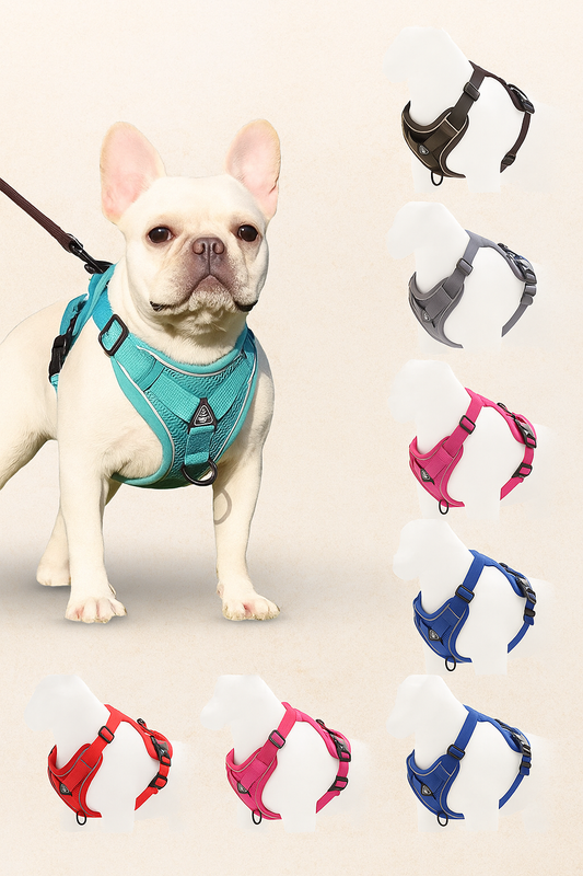 Cat & Dog Harness and Leash Set – Escape-Proof, Adjustable & Breathable