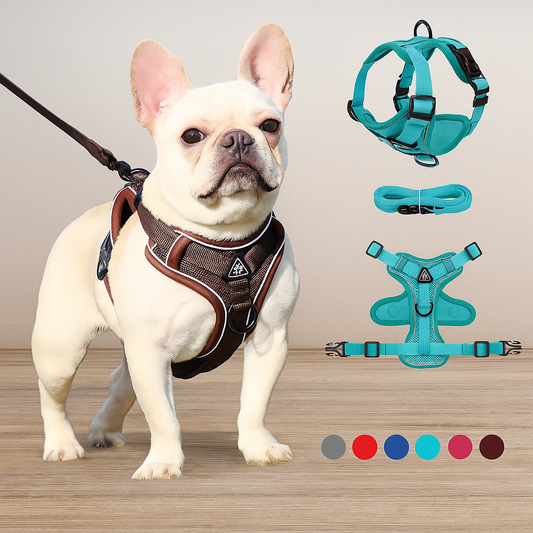 Cat & Dog Harness and Leash Set – Escape-Proof, Adjustable & Breathable