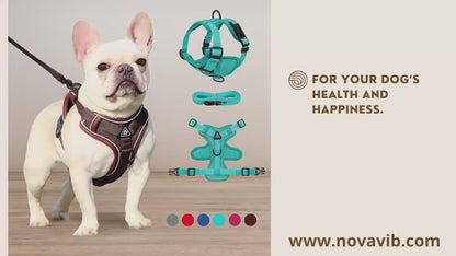 Cat & Dog Harness and Leash Set – Escape-Proof, Adjustable & Breathable